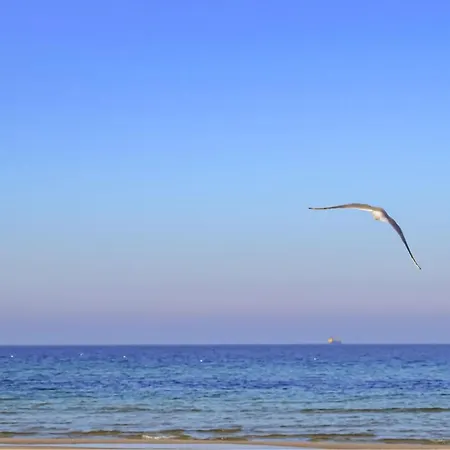 Vakantiehuis Stunning In With Sauna *