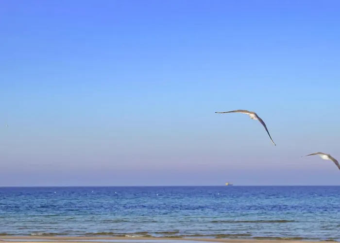 Tatil Evi Stunning In With Sauna *